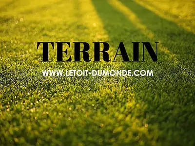 Terrain, 741 m²