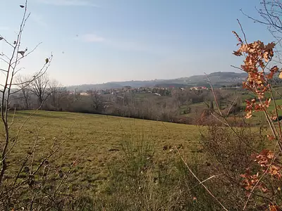 Terrain, 1 245 m²