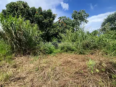 Terrain, 1 274 m²