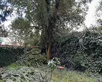 Maison, 101 m²