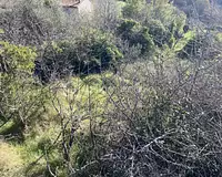 Terrain, 283 m²