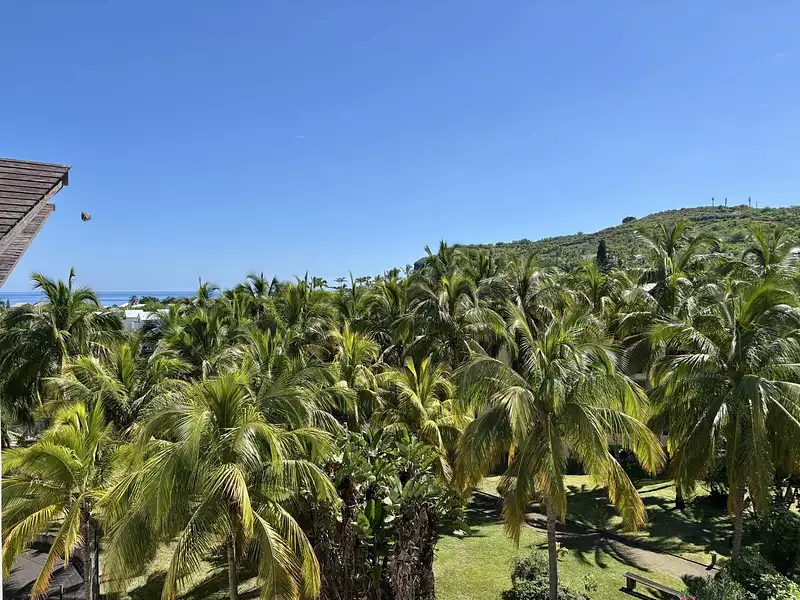 Appartement, 48,5 m²