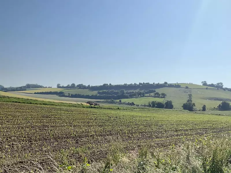Terrain, 2 600 m²