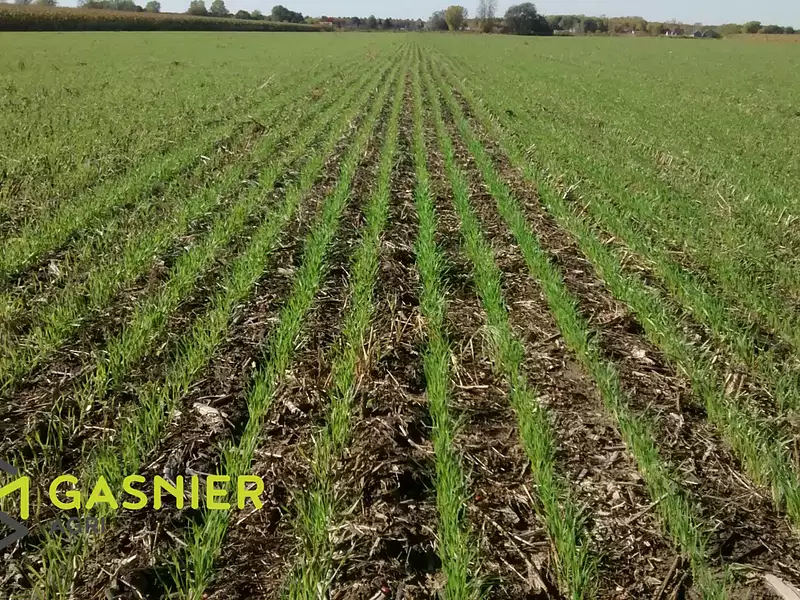 Divers, 1 250 000 m²