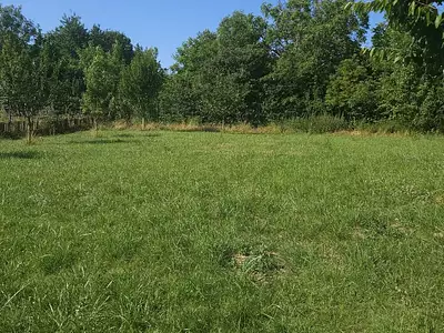 Terrain, 1 241 m²