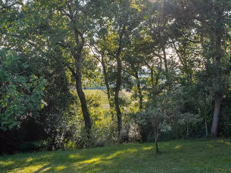 Maison, 80 m²