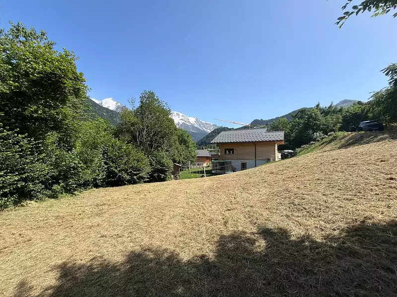 Terrain