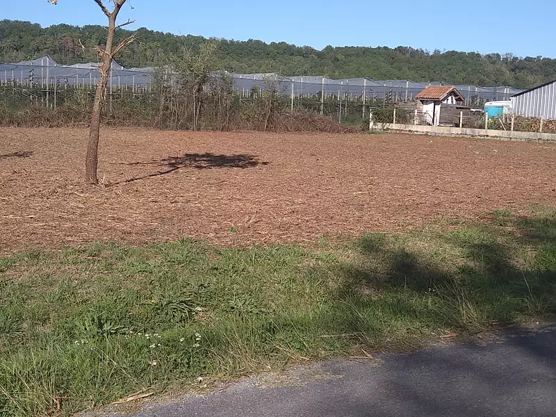 Terrain, 2 205 m²