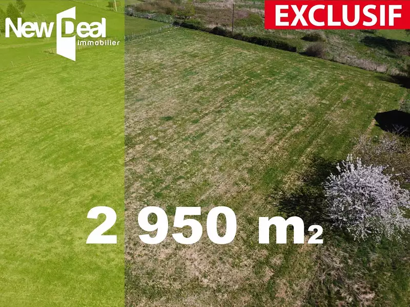 Terrain, 2 950 m²