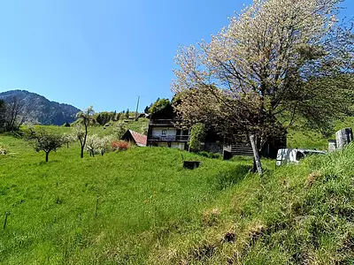 Maison, 270 m²
