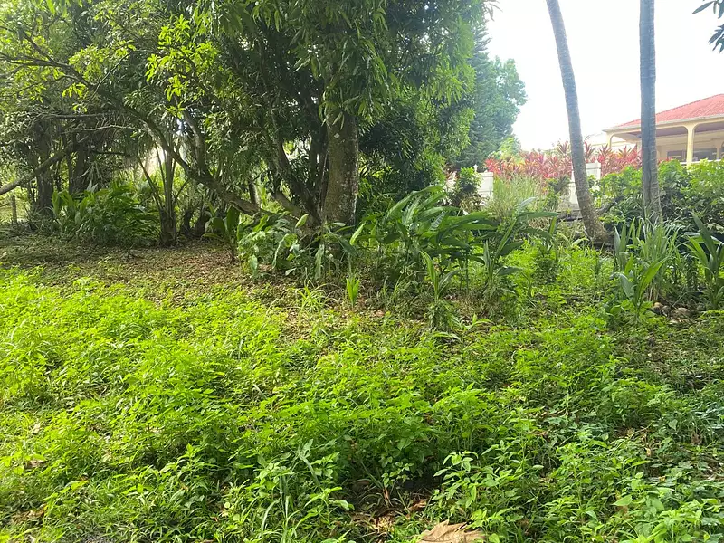 Terrain, 700 m²