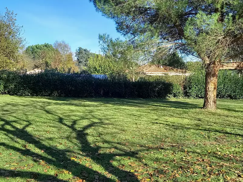 Terrain, 1 200 m²