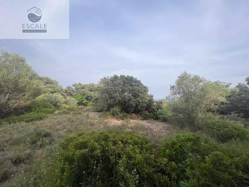 Terrain, 6 091 m²