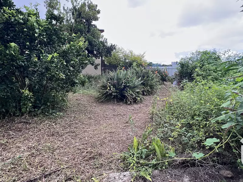Terrain, 1 705 m²