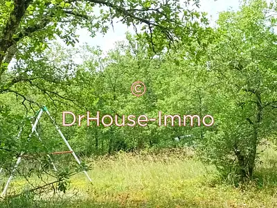 Terrain, 10 225 m²