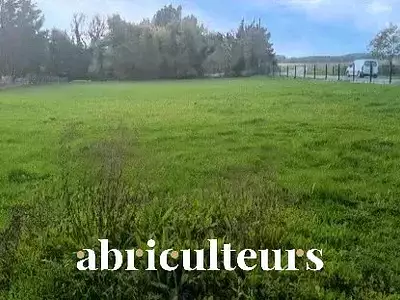 Terrain, 966 m²