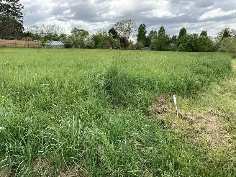 Terrain, 4 265 m²