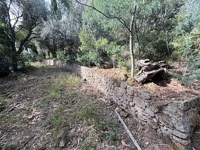 Terrain, 1 630 m²