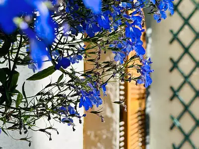 Maison, 283 m²