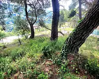 Terrain, 910 m²