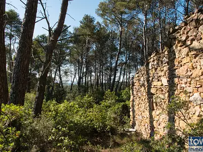 Terrain, 42 302 m²
