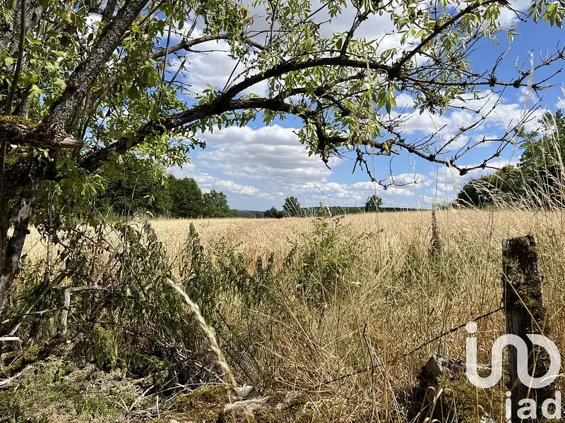 Terrain, 2 000 m²