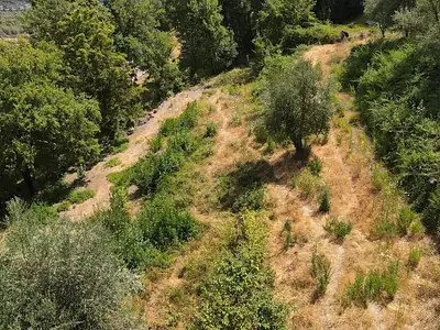 Terrain, 1 539 m²