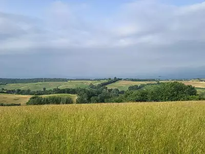 Terrain, 3 000 m²