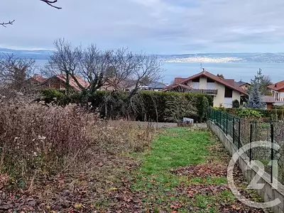 Terrain