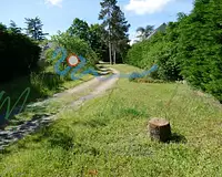 Terrain, 972 m²
