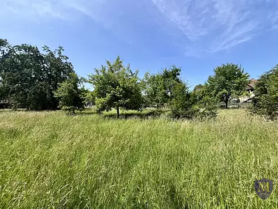 Terrain, 1 323 m²