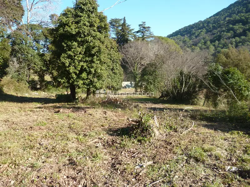 Terrain