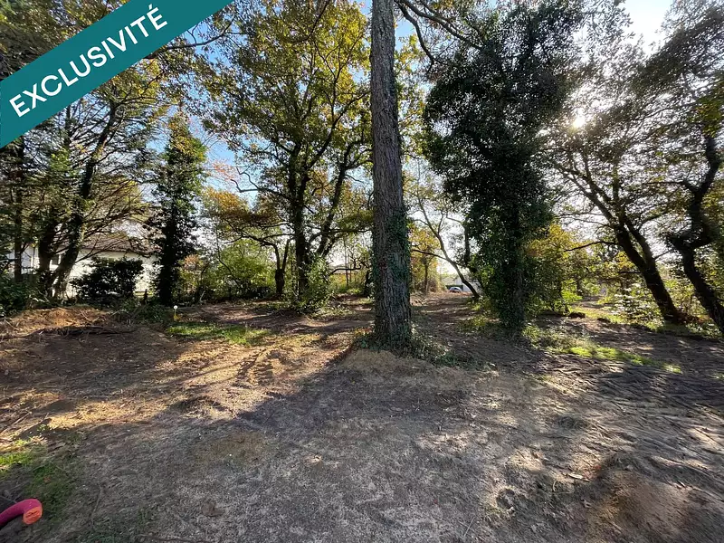 Terrain, 1 200 m²