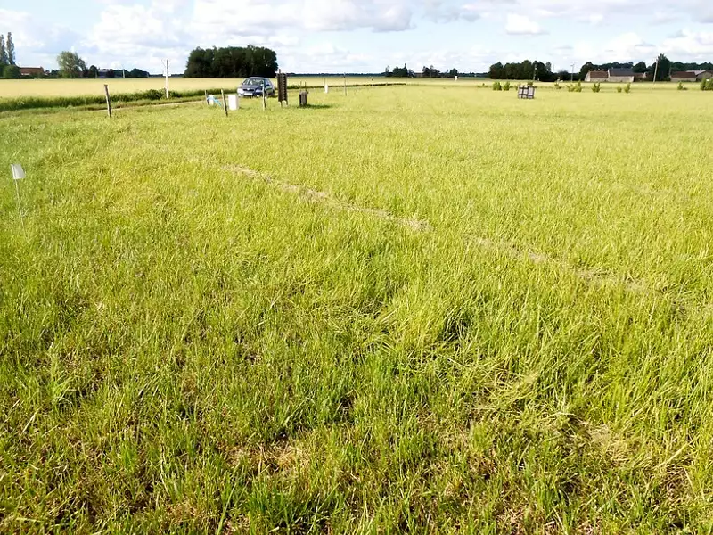 Terrain, 1 148 m²