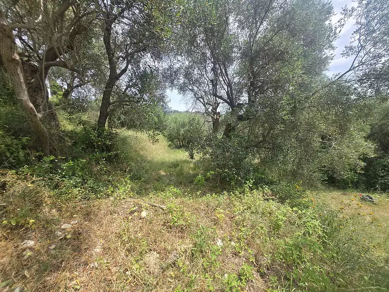 Terrain, 1 127 m²