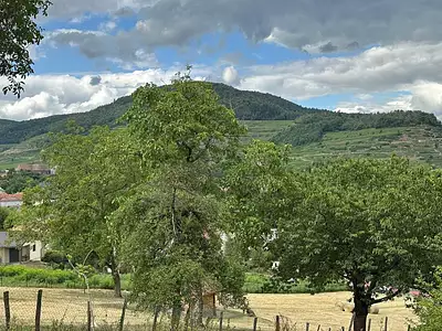 Terrain, 3 739 m²