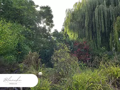 Terrain, 638 m²