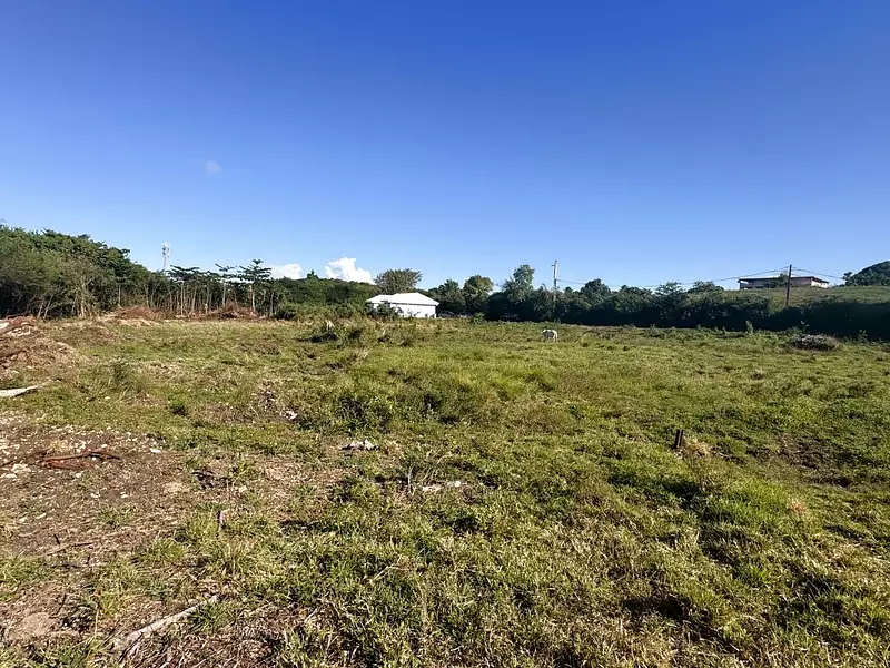 Terrain, 903 m²