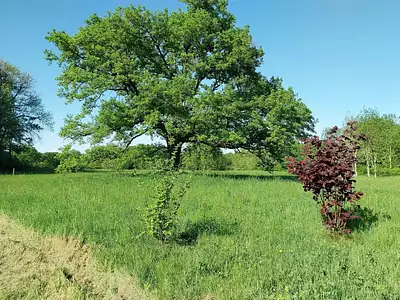 Maison, 158 m²