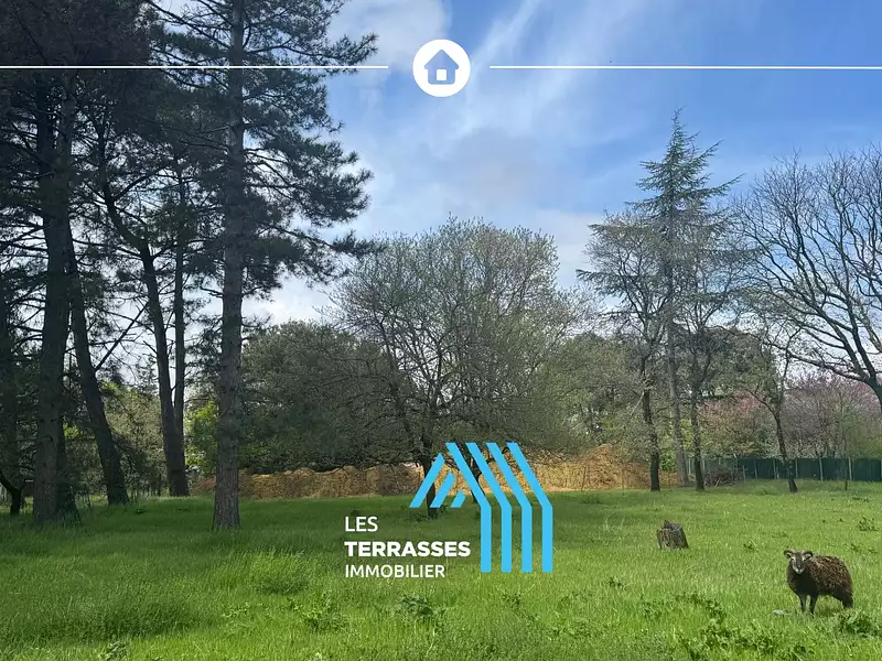 Terrain, 1 333 m²