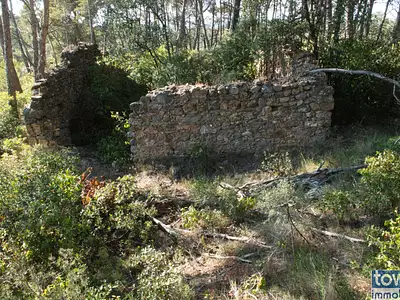 Terrain, 42 302 m²