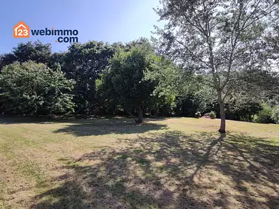Terrain