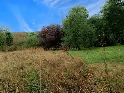 Terrain, 33 821 m²