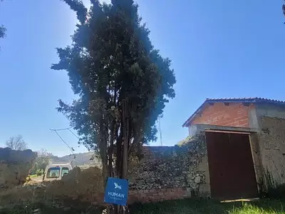 Maison, 162 m²