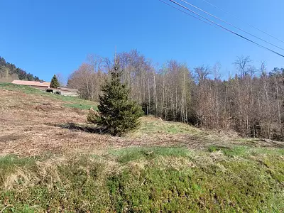 Terrain, 980 m²