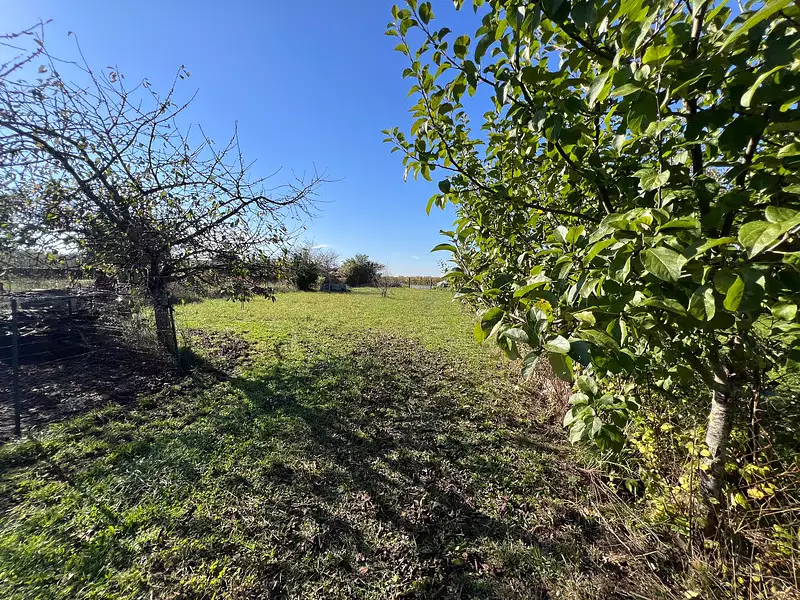 Maison, 74 m²