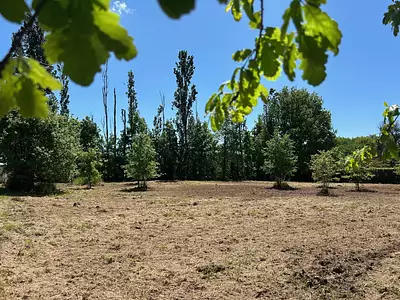 Terrain, 6 209 m²