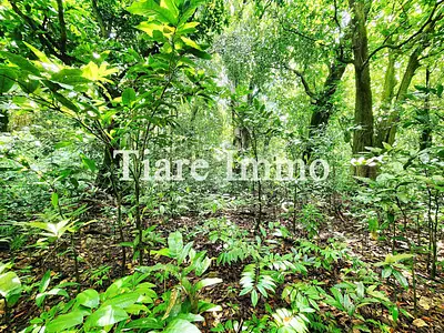 Terrain, 6 953 m²