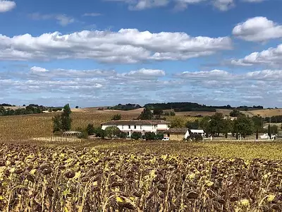 Maison, 825 m²