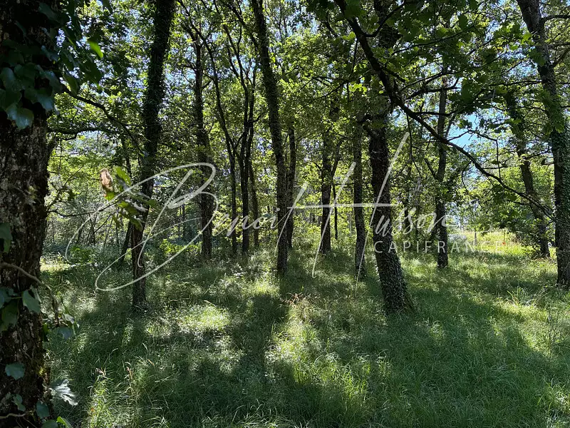 Terrain, 1 700 m²